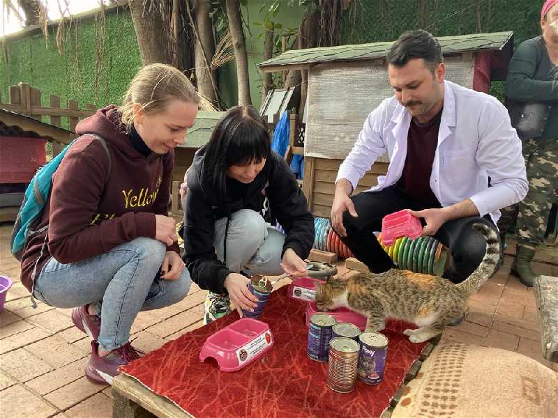 17 MART KEDİLER GÜNÜ!