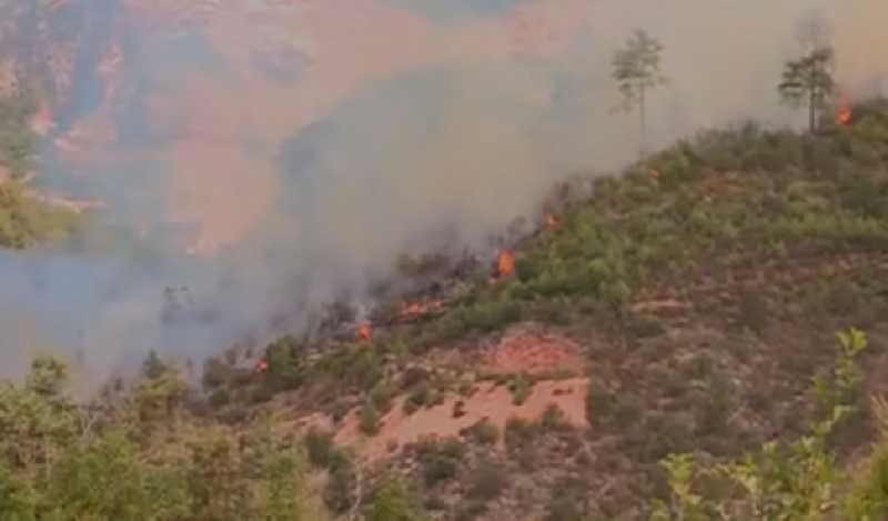 Alanya'daki yangın kontrol altında alındı.