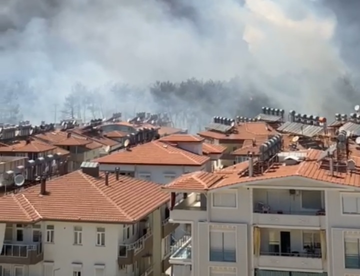 Manavgat'taki yangın kontrol altına alınamıyor.